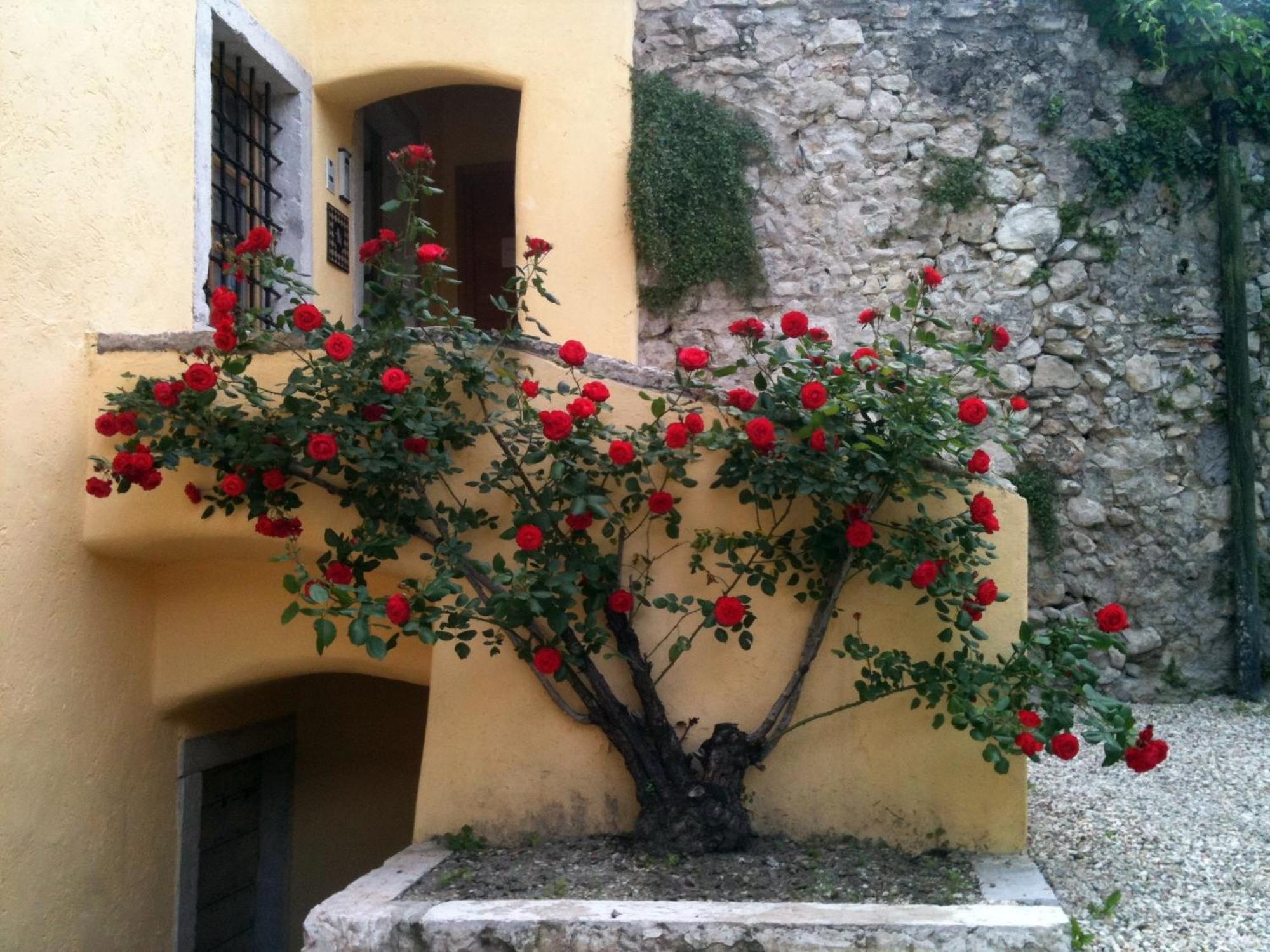Relais Palazzo Lodron Hotell Rovereto  Eksteriør bilde